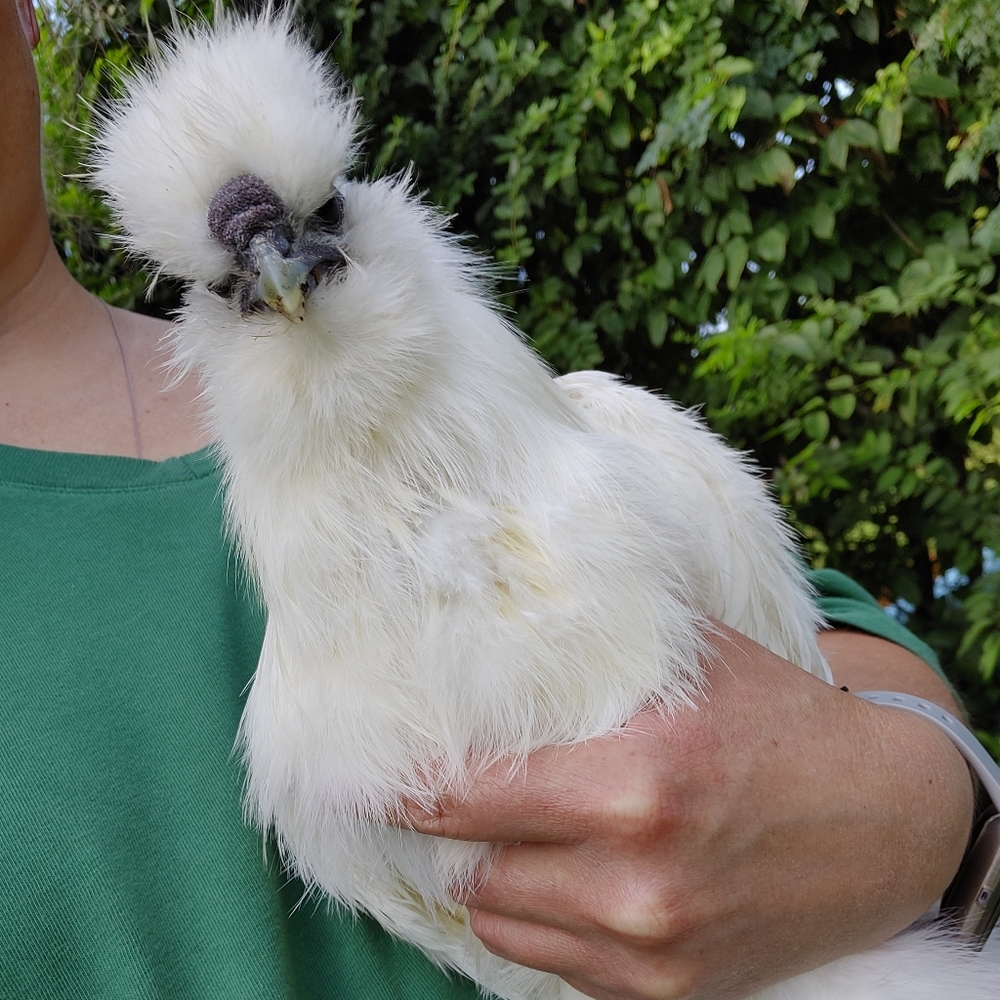 Meet your Posher, Mary!